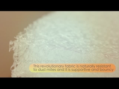 Introduzione della fibra dell'aria di U-micco POE